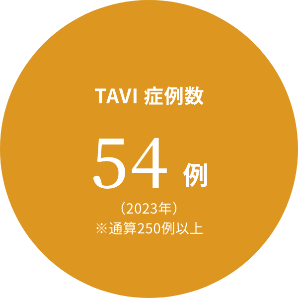 TAVI 症例数